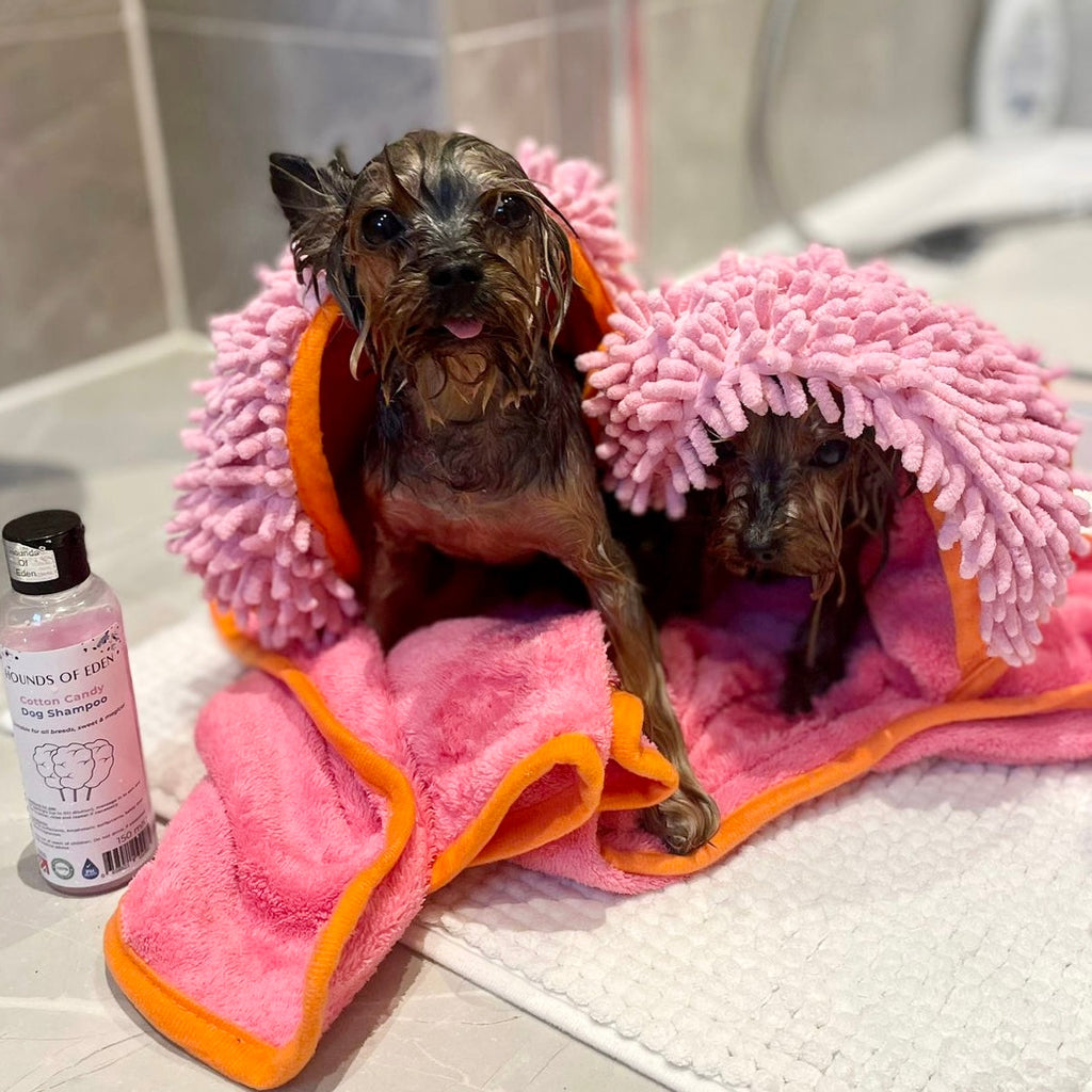 Florentina Dog Towel & Carry Bag