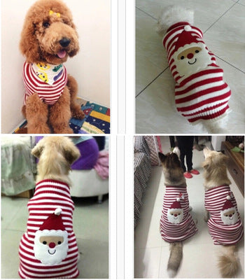 Festive Santa & Reindeer Christmas Dog Jumper
