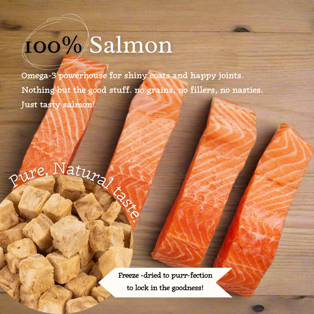 Salmon Swoon - 100% Freeze-Dried Salmon Treats | Pure & Natural | Tail Tips UK | 50g pack