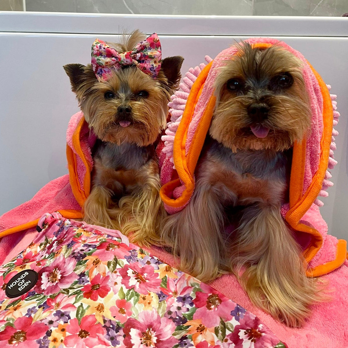 Florentina Dog Towel & Carry Bag