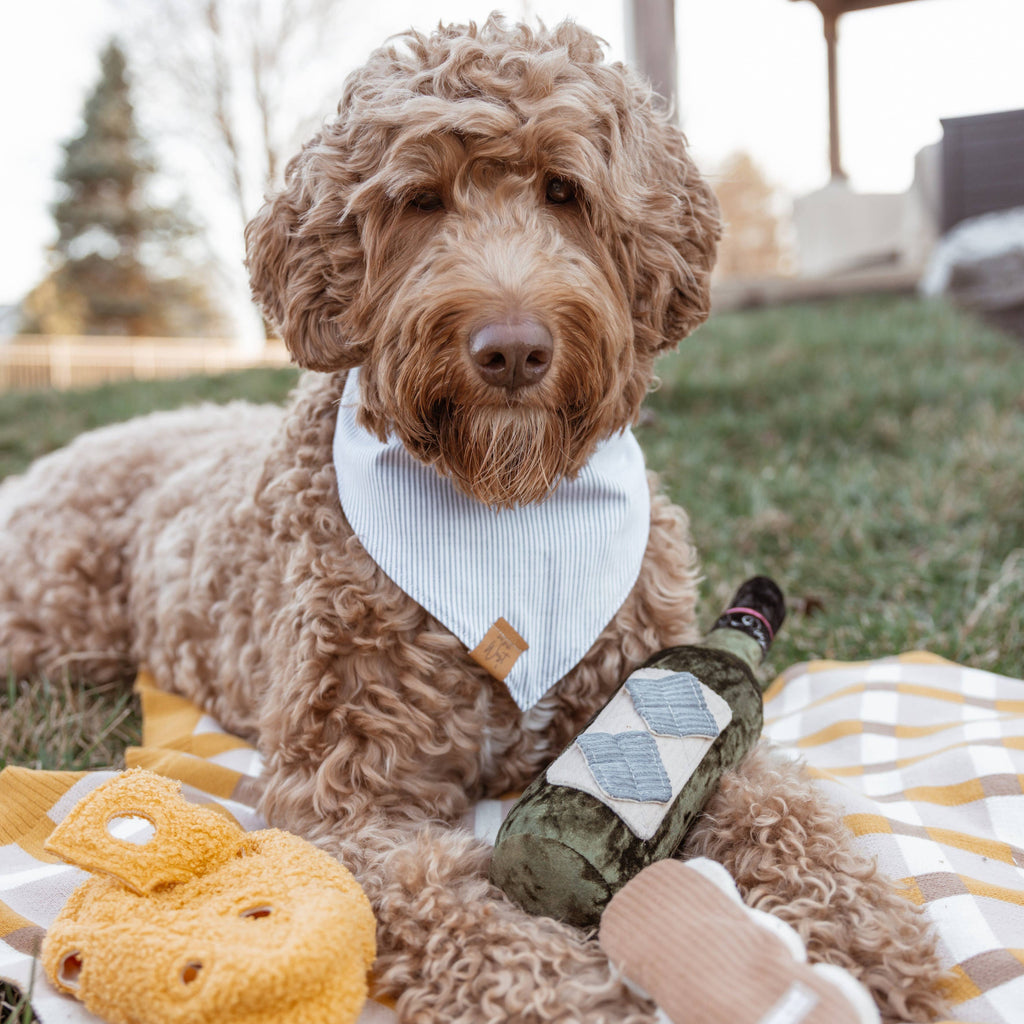 Merlot Wine Bottle Dog Toy