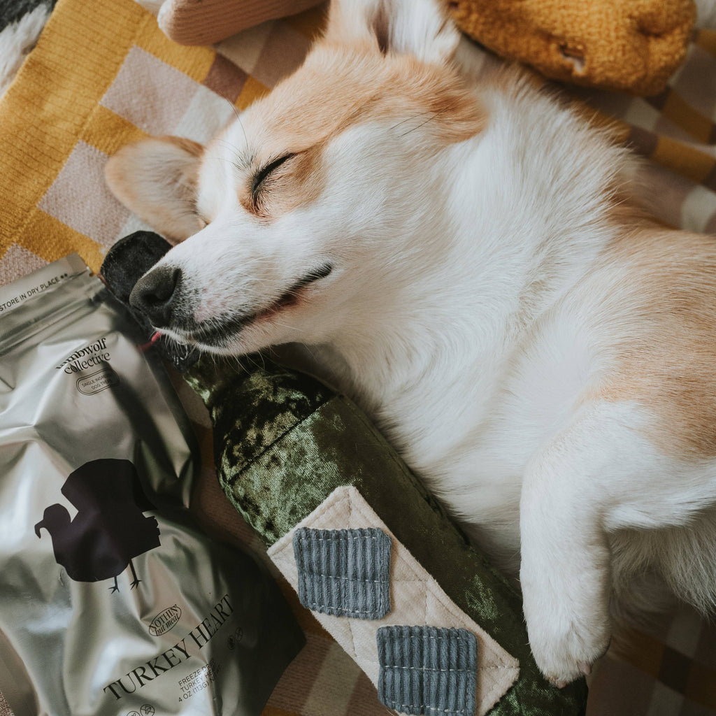 Merlot Wine Bottle Dog Toy