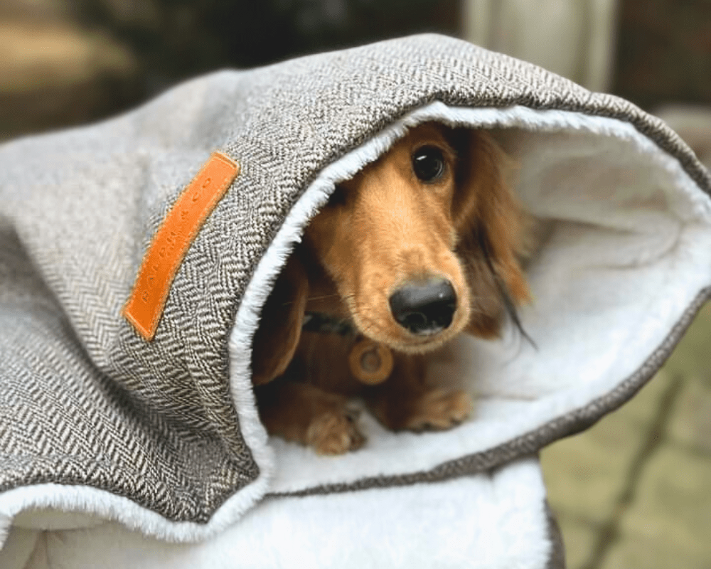 The Lincoln Luxury Reversible Dog Blanket