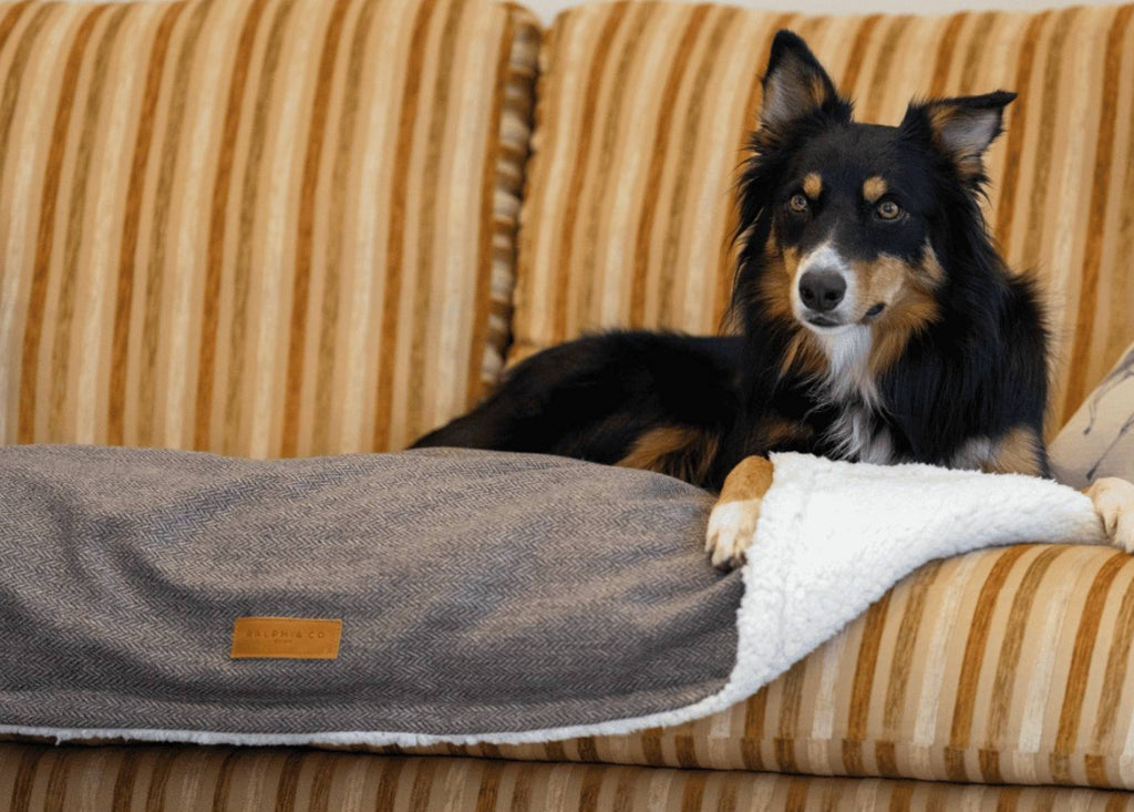 The Lincoln Luxury Reversible Dog Blanket