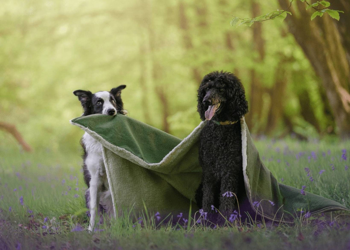 The Richmond Luxury Reversible Dog Blanket