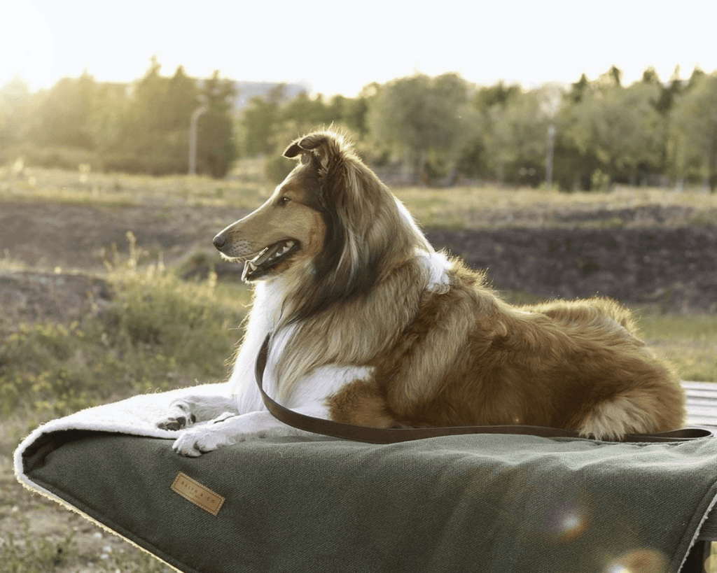 The Richmond Luxury Reversible Dog Blanket