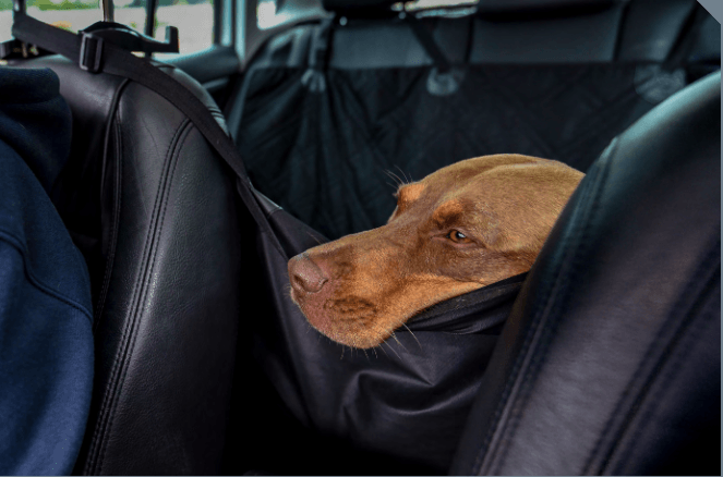Heavy Duty Waterproof Dog Car Hammock
