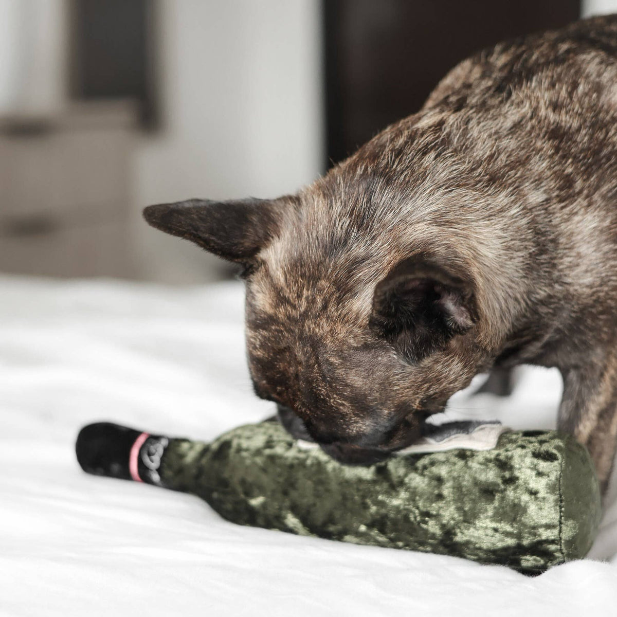 Merlot Wine Bottle Dog Toy