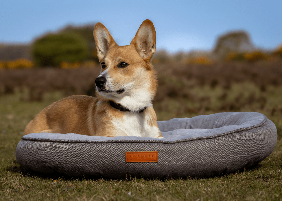 The Balmoral Luxury Calming Donut Dog Bed