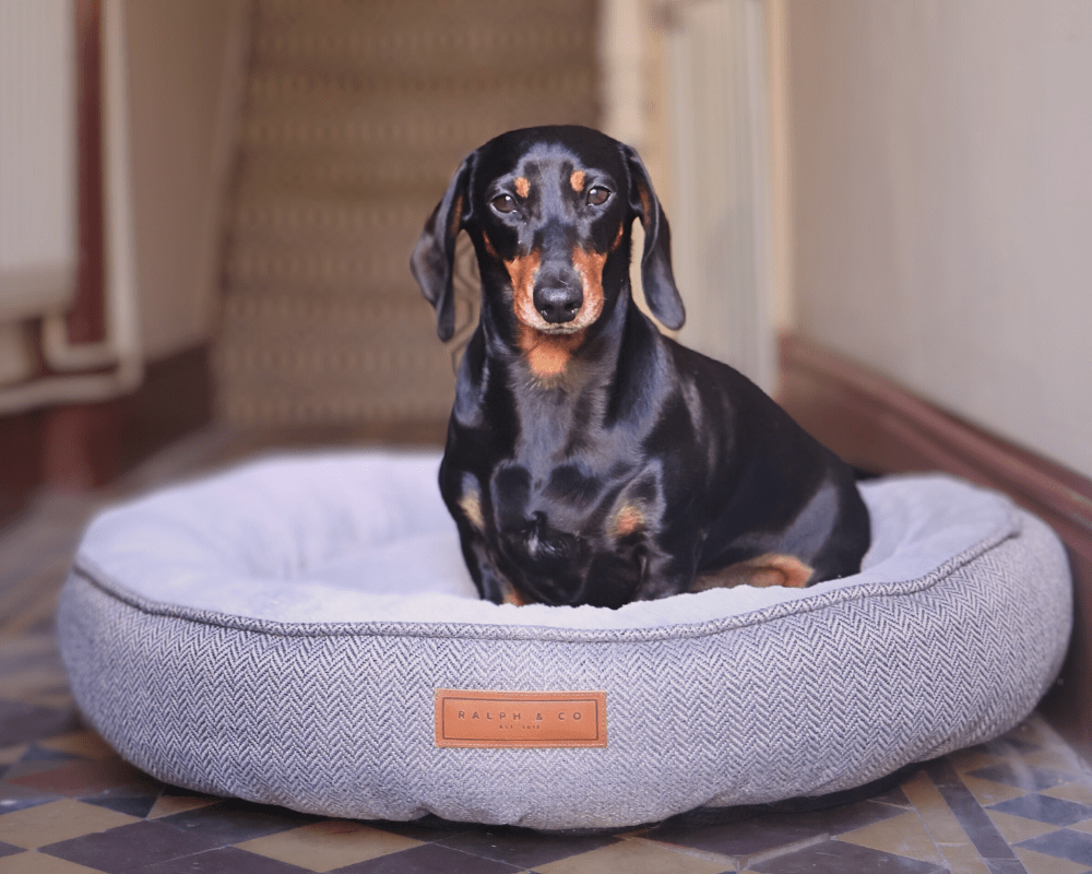The Balmoral Luxury Calming Donut Dog Bed