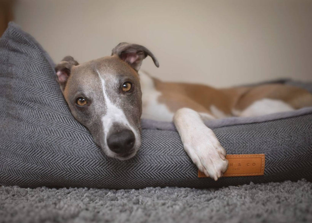 The Balmoral Luxury Herringbone Dog Bed