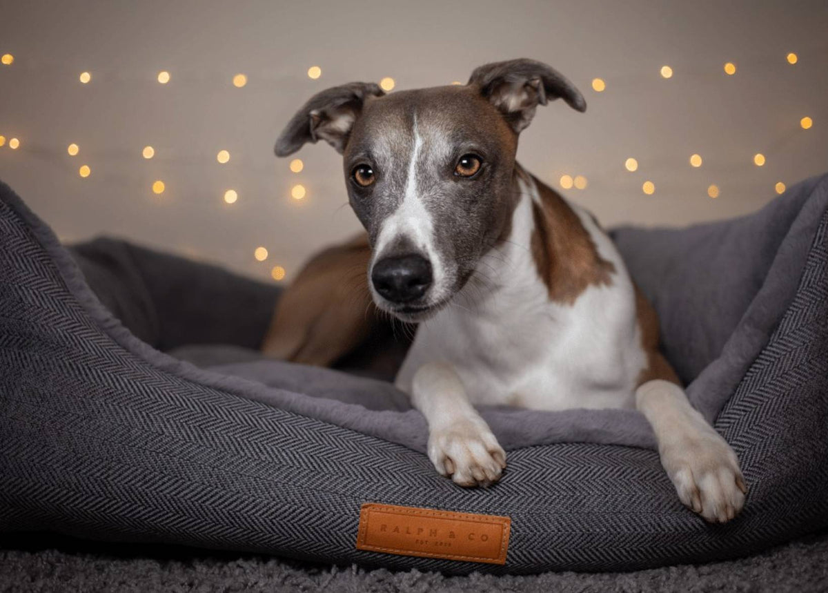 The Balmoral Luxury Herringbone Dog Bed
