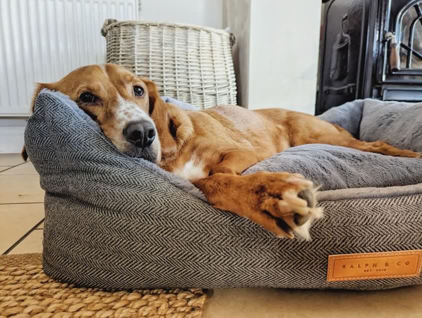 The Balmoral Luxury Herringbone Dog Bed