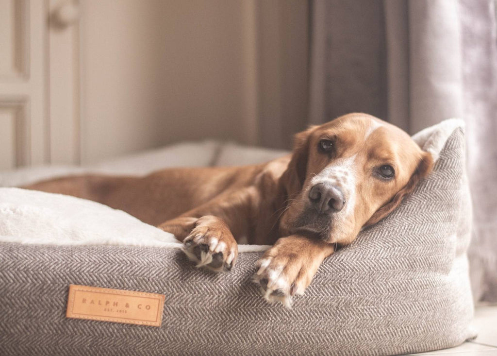 The Lincoln Luxury Tweed Dog Bed