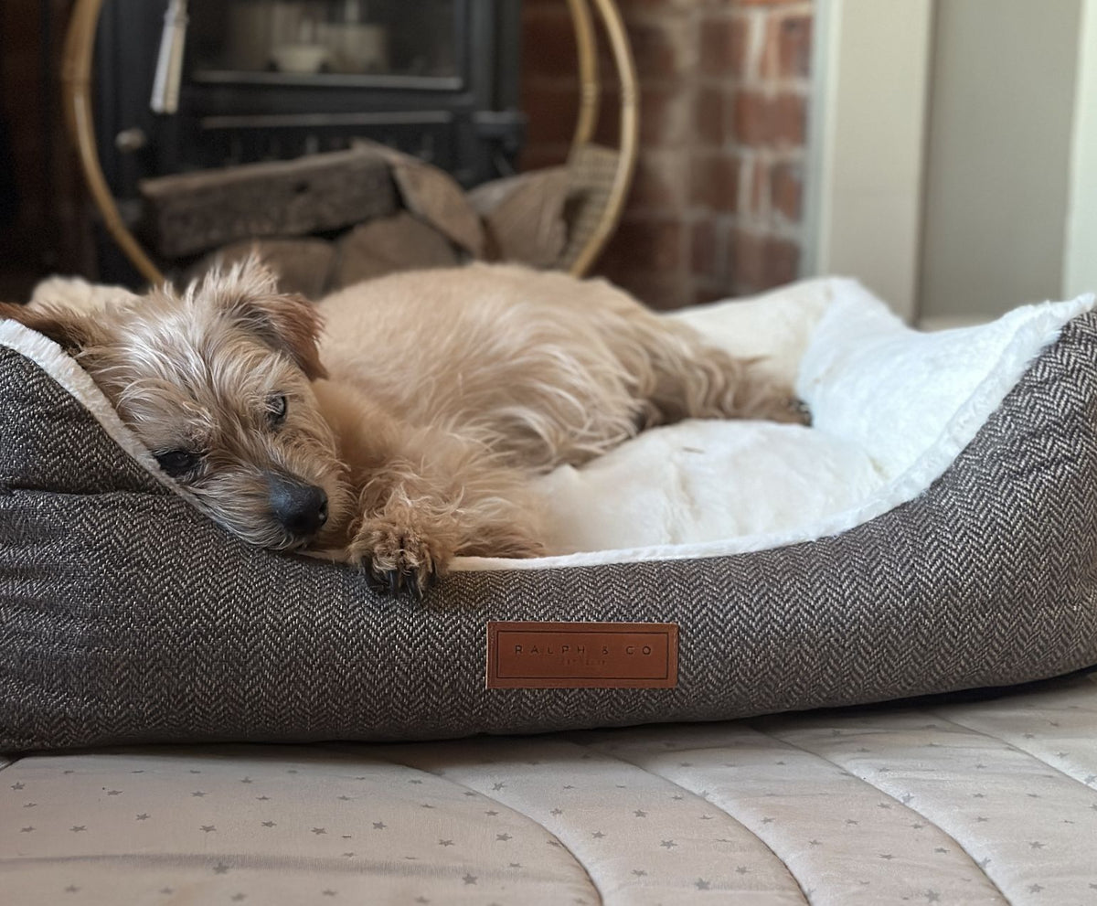 The Lincoln Luxury Tweed Dog Bed