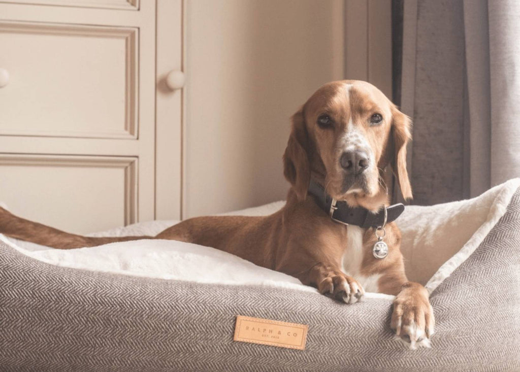 The Lincoln Luxury Tweed Dog Bed