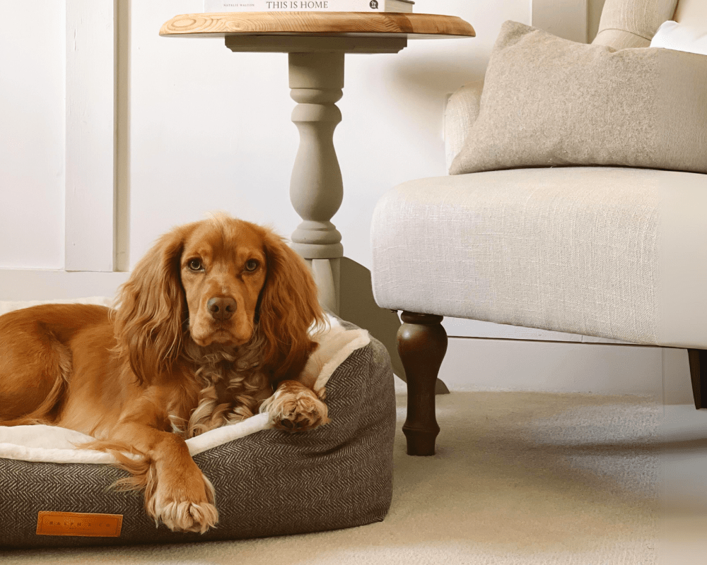The Lincoln Luxury Tweed Dog Bed