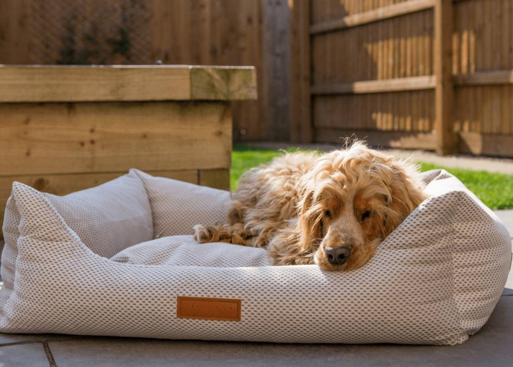 The Chatsworth Luxury Memory Foam Dog Bed