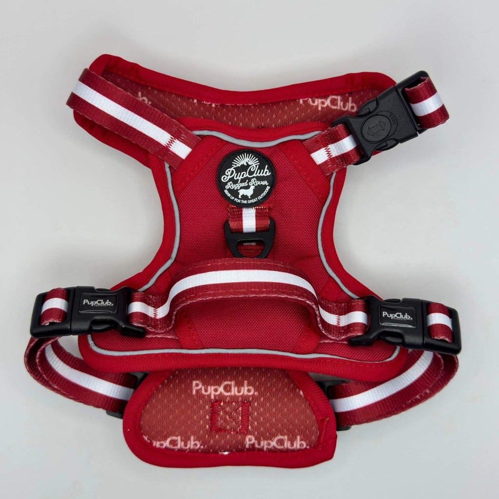 Rugged Rover™ Harness - Berry Red