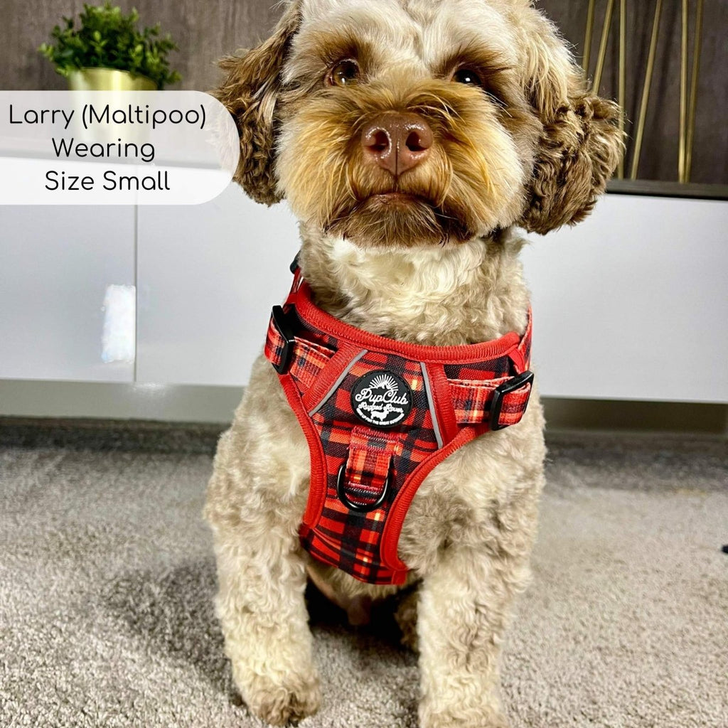 Rugged Rover™ Red Tartan No-Pull Dog Harness