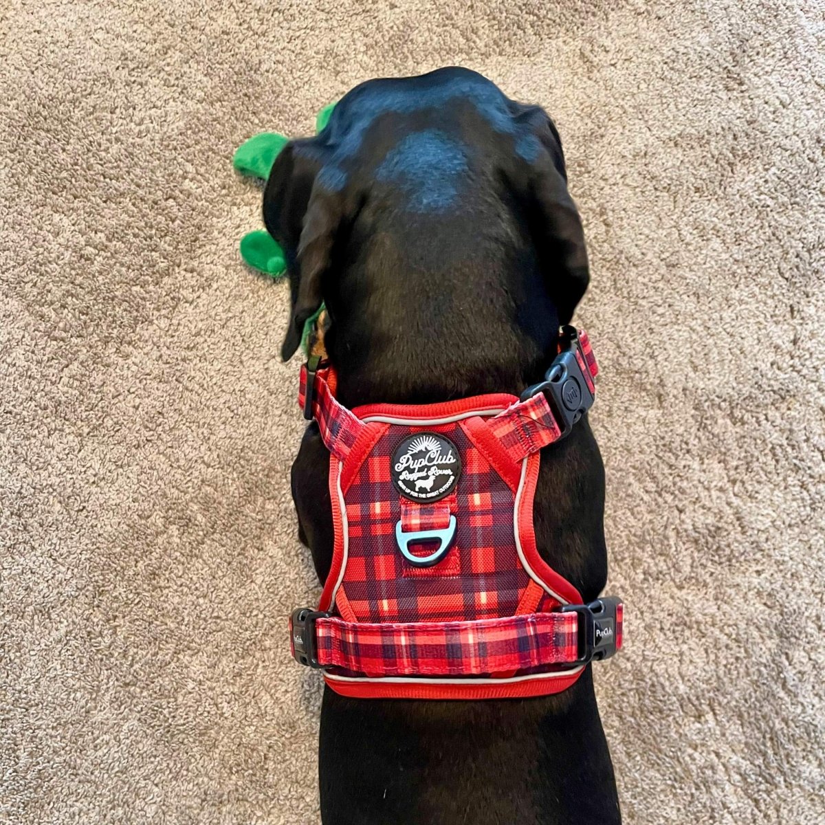 Rugged Rover™ Red Tartan No-Pull Dog Harness